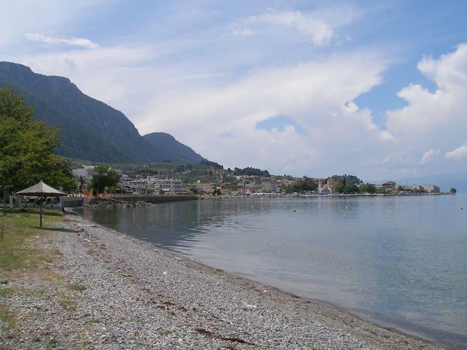 Anastasia - Efthimios Apartments Agios Konstantinos  Eksteriør bilde