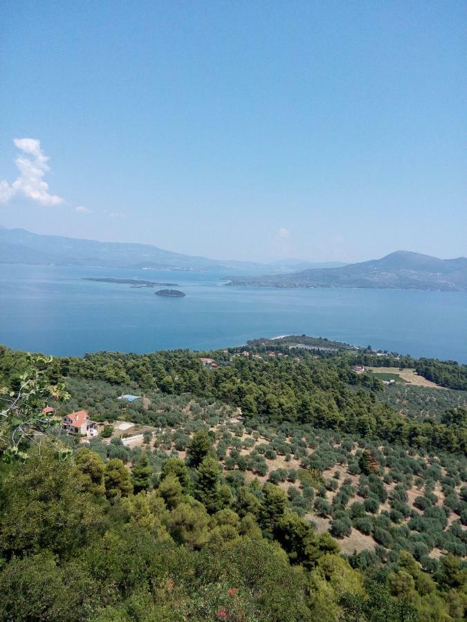 Anastasia - Efthimios Apartments Agios Konstantinos  Eksteriør bilde